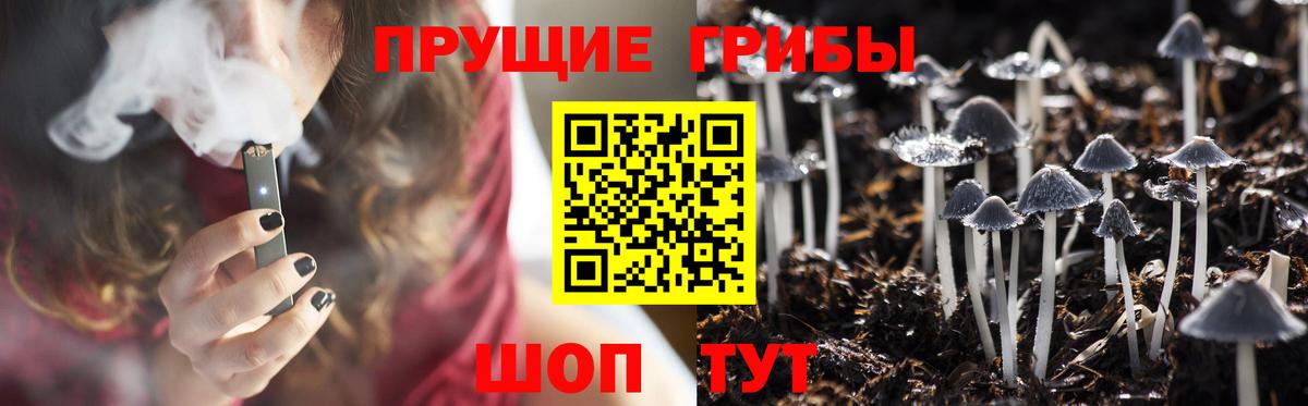 Галлюциногенные грибы MAGIC MUSHROOMS  наркошоп  Губаха  Вход с VPN 