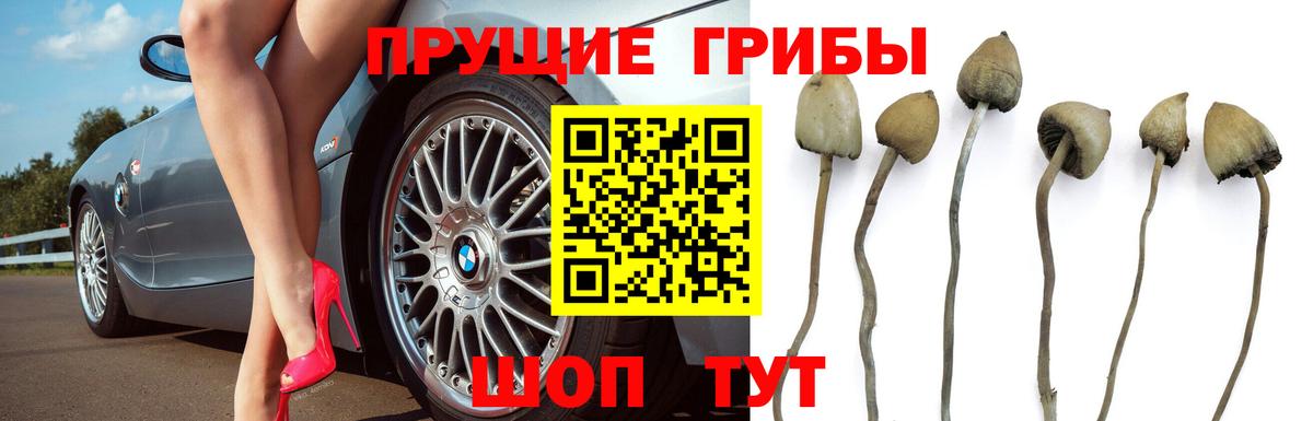 Галлюциногенные грибы Magic Shrooms Губаха
