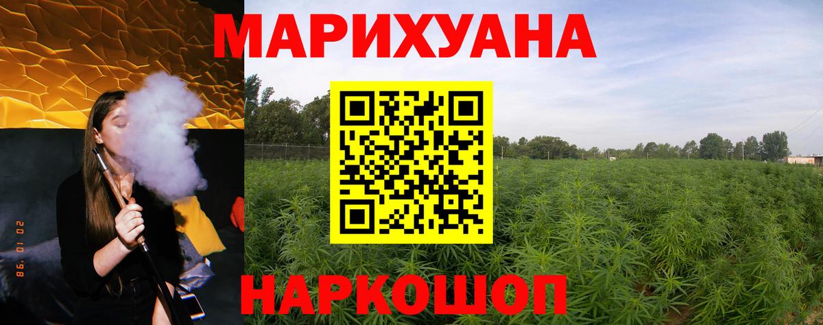 Губаха  Конопля сатива  Вход с VPN  МАРИХУАНА план  Бошки Шишки конопля  Марихуана LSD WEED 